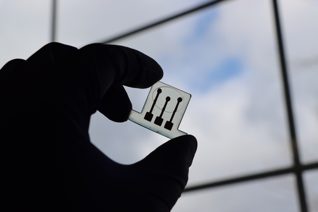 Dairy Farms Test 3D-Printed Sensors to Detect Milk Fever in Cows