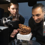 3D Printed Honeycomb Structures Offer New Path for Sustainable Manufacturing