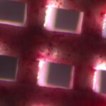 3D Printed Scaffolds Could Revolutionize Bone Repair