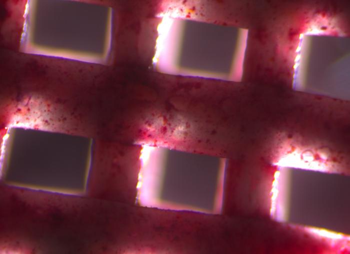 3D Printed Scaffolds Could Revolutionize Bone Repair