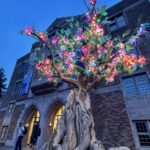 Tech-Infused Tree Brightens University of Washington Campus