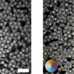 Stanford Researchers 3D Print Shapeshifting Particles