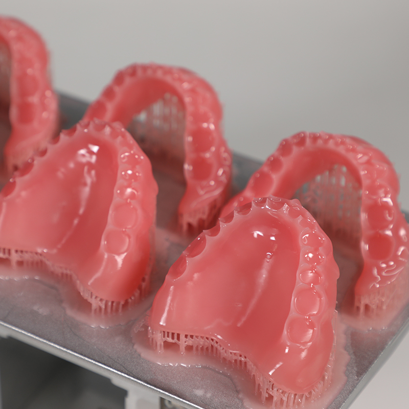 PioNext denture base
