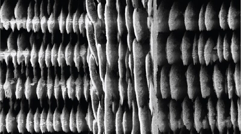 3D Printing Method Enhances Micro Energy Storage Solutions