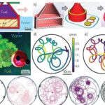3D Printed Particles Use the Marangoni Effect for Self-Propulsion