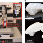 Scottish Researchers Pioneer 3D Printed Hip Replacements Technique