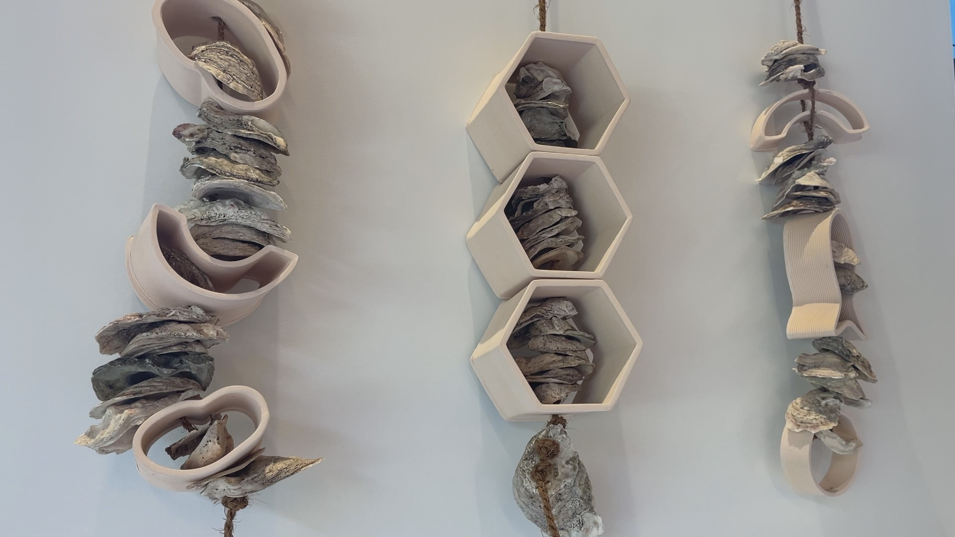Revitalizing Oyster Reefs with 3D Printing