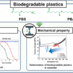 3D Printing Yields Insights into Bioplastic Degradation Degradation in Seawater
