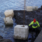Enhancing Dublin’s Marine Ecology with 3D Printed Habitat Units