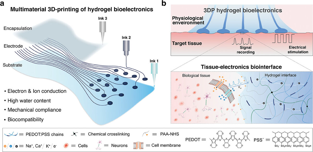 3D Printing Conducting Polymer Hydrogels for Bioelectronics