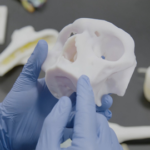 Stratasys and Ricoh Launch Clinical Study on 3D Printed Models in Orthopedic Oncology
